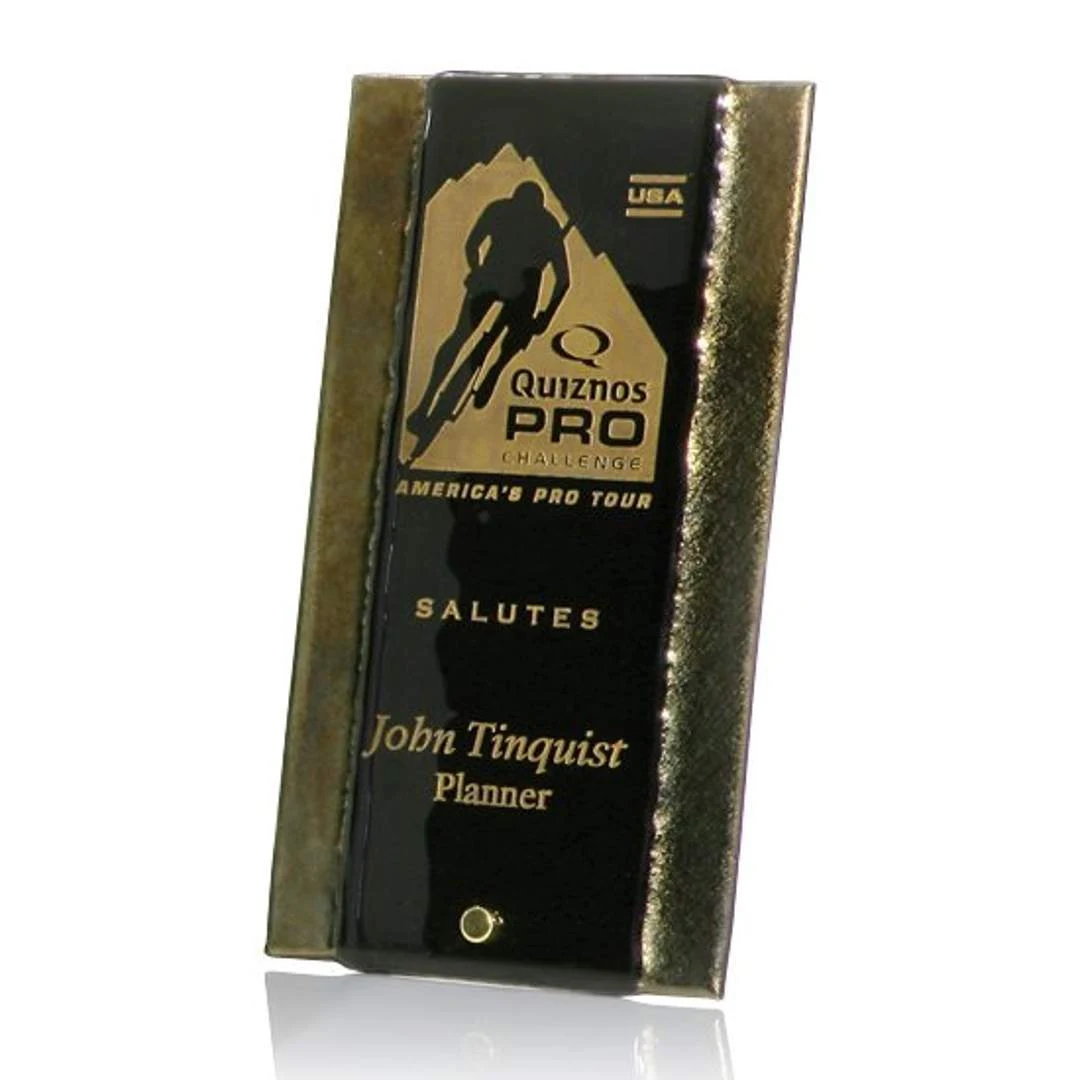 Gold Fusion with Peg Award 1