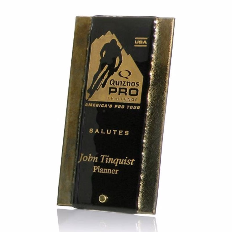 Gold Fusion with Peg Award