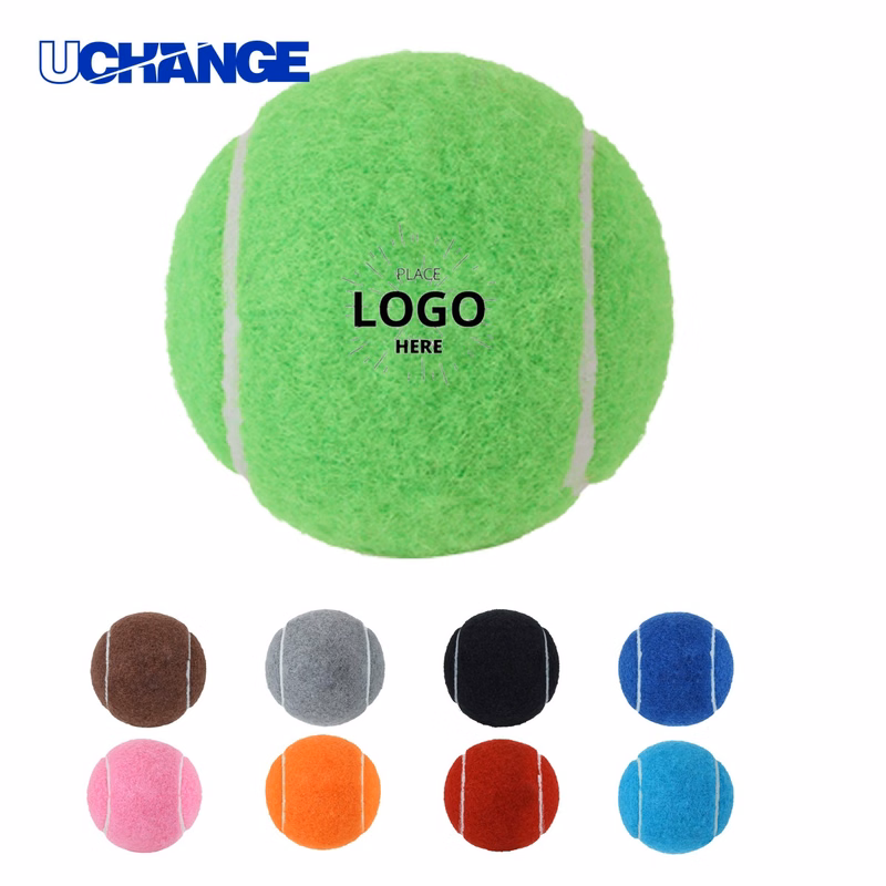 Pet Toy Ball for Interactive Play