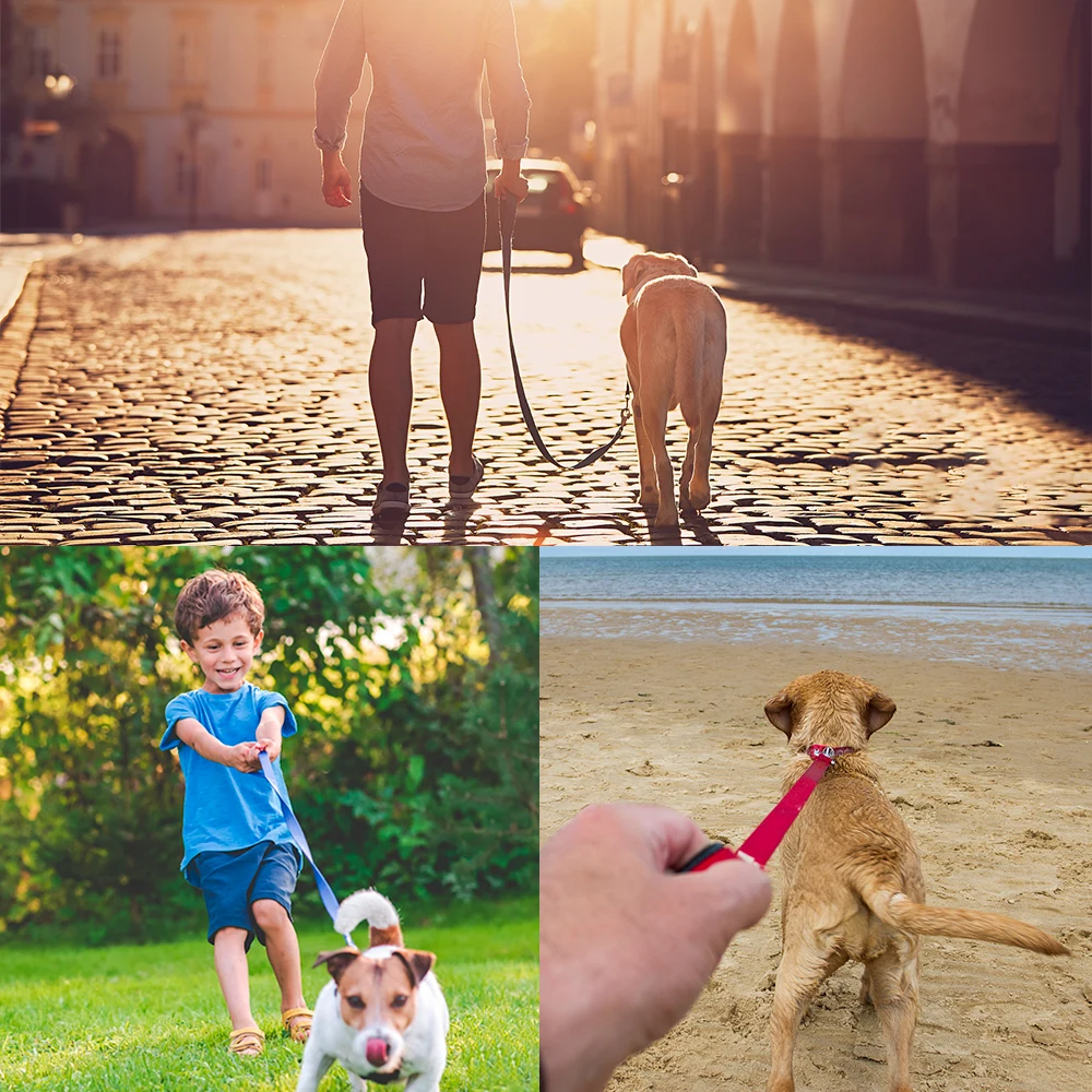 Pongo Leash with Collar Hook 1