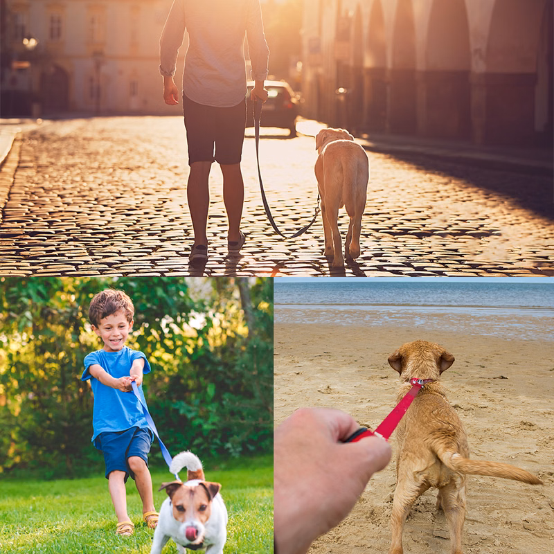 Pongo Leash with Collar Hook