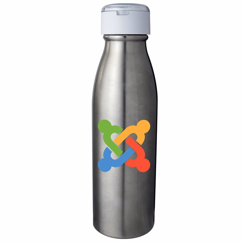 STAINLESS SILHOUETTE BLUETOOTH EAR BUD BOTTLE