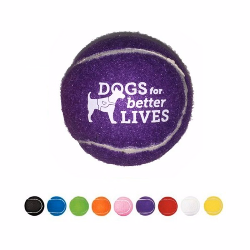 Pet Training Fetch Ball
