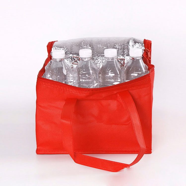 Non-woven cloth ice pack