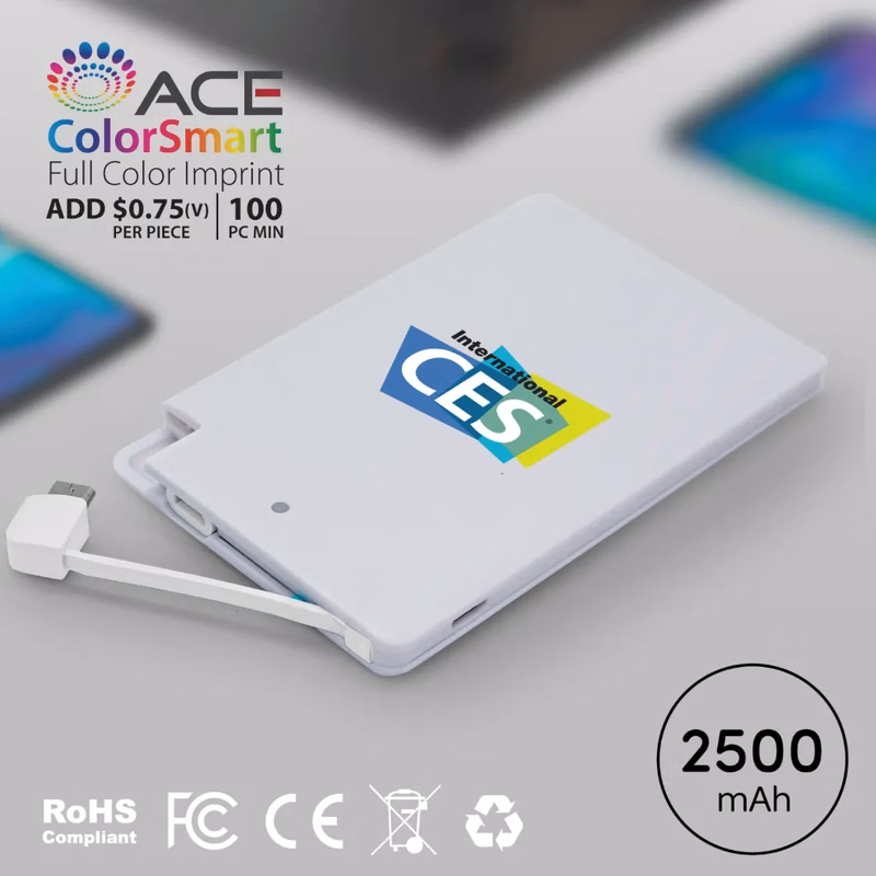 Emory - 2500 mAh SLIM PORTABLE POWER BANK WITH CABLE
