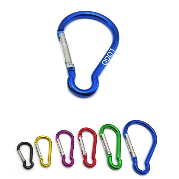 10# Carabiner Key Chain 1