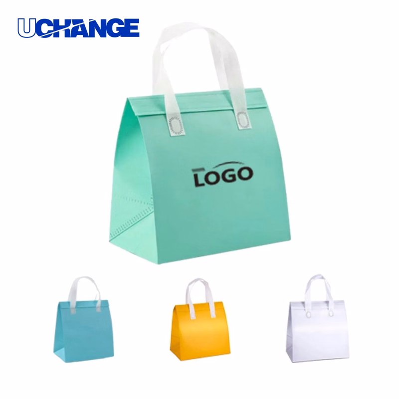 Aluminum Foil Lined Insulated Takeout Cooler Bag
