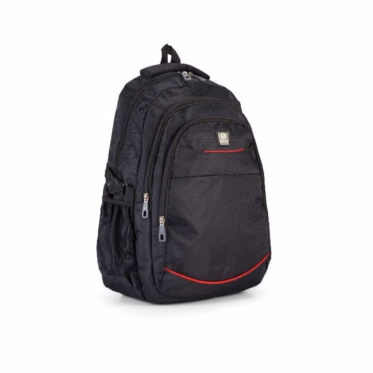 Backpacks - 2 Assorted Colors 19.5"