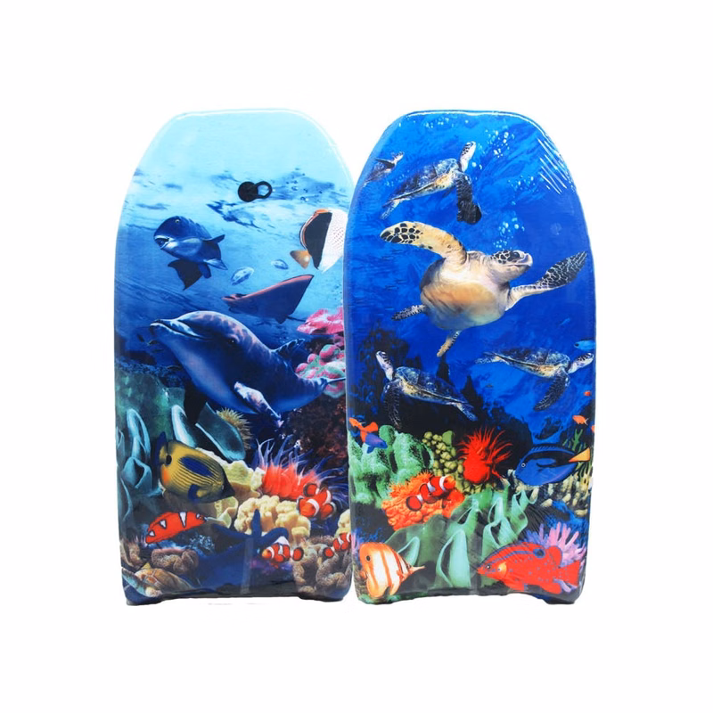 Assorted Kickboards - 2 Designs 37"