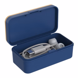 Earbuds In Case Type-C Earphone)