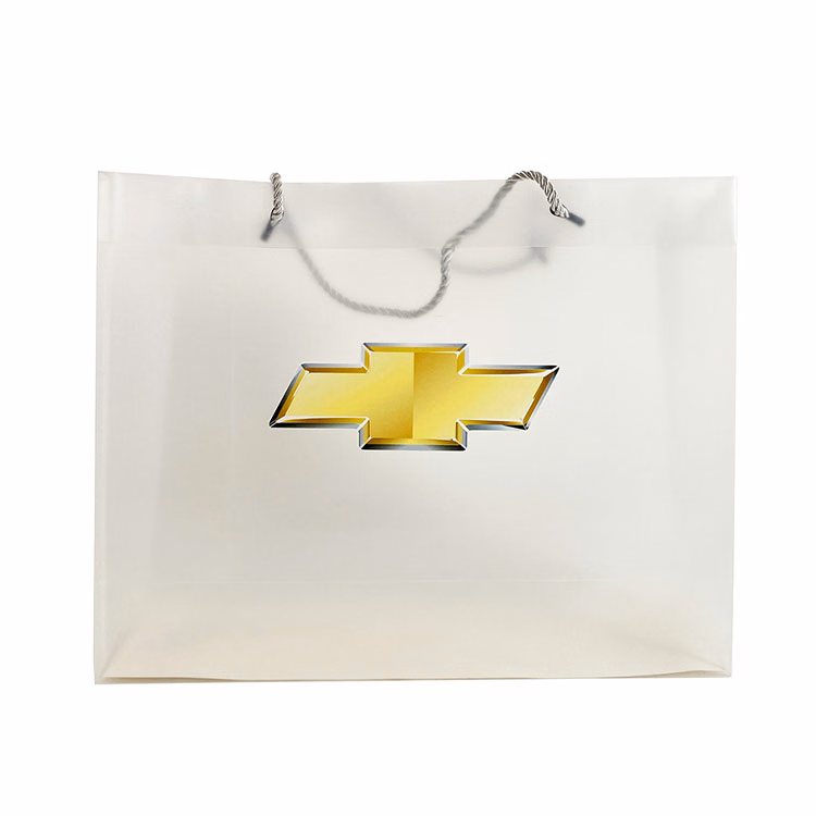 Small Tall Frosted See- Thru Bag