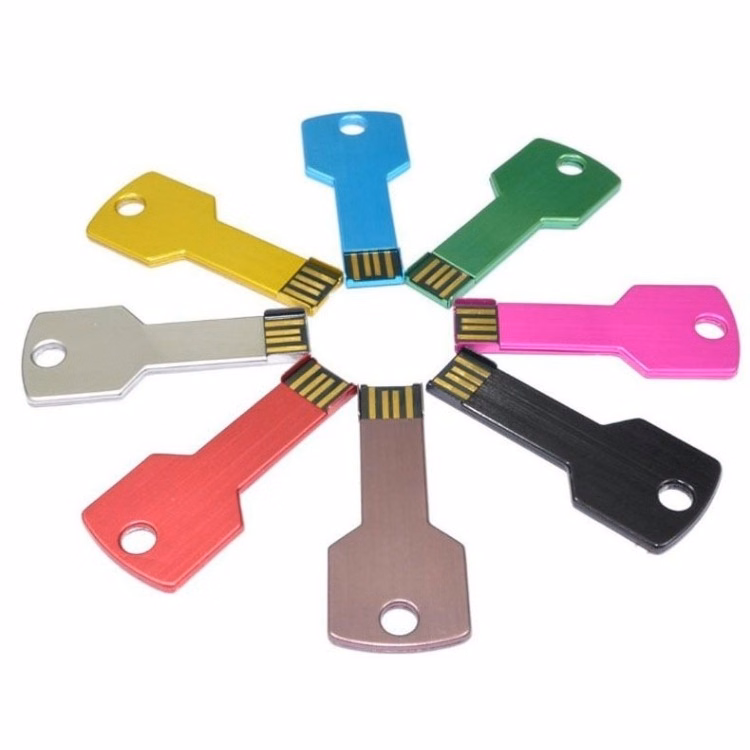 USB Key Flash Drive (1GB)