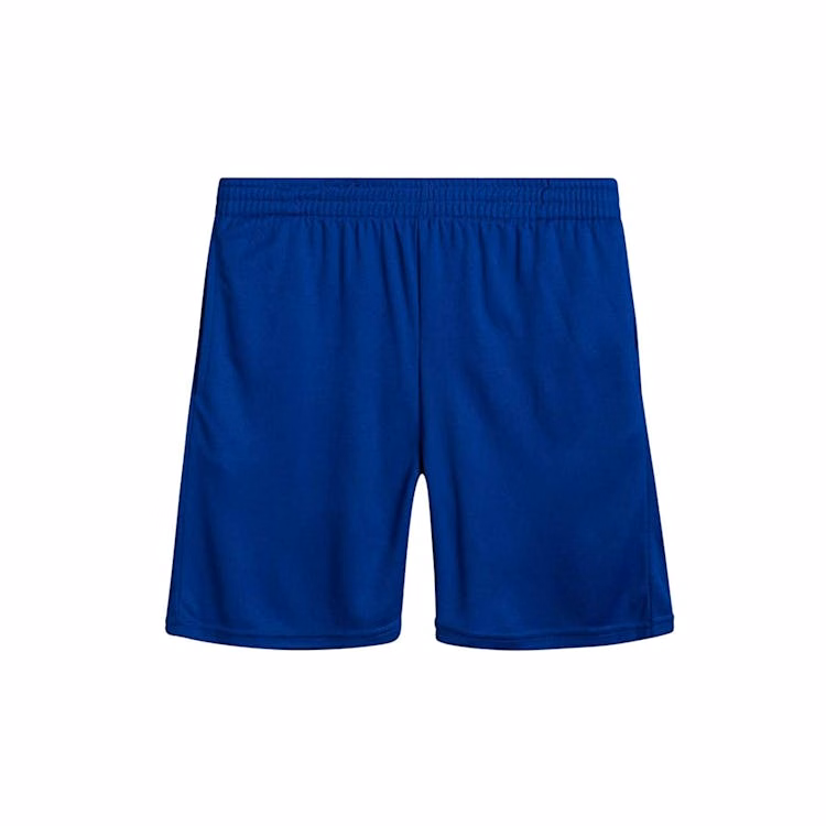 Men's Shorts - Royal Size S-2XL