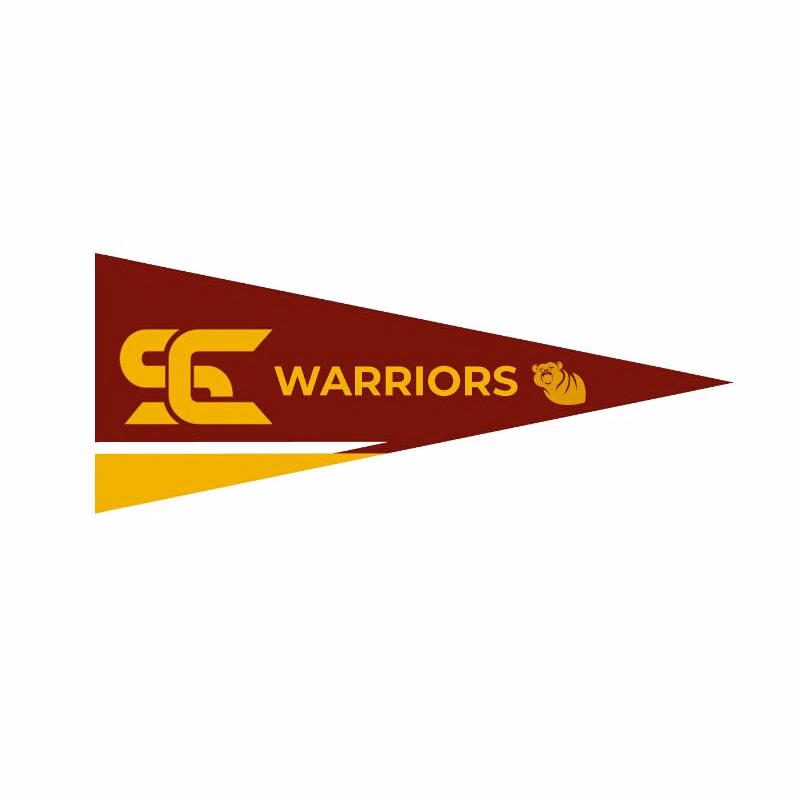 5" x 12" Full Color Felt Pennant Flag Banner