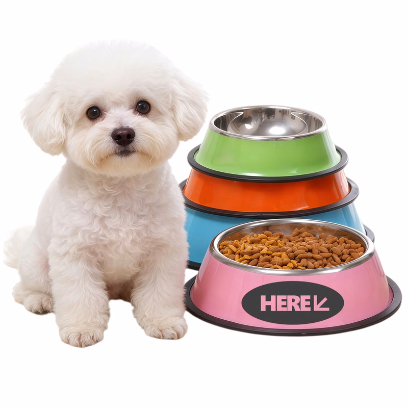 Pets Feeder Bowl with Anti Skid Silicone Base