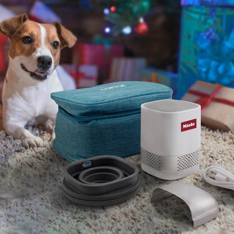 Luft Duo Air Purifier 1