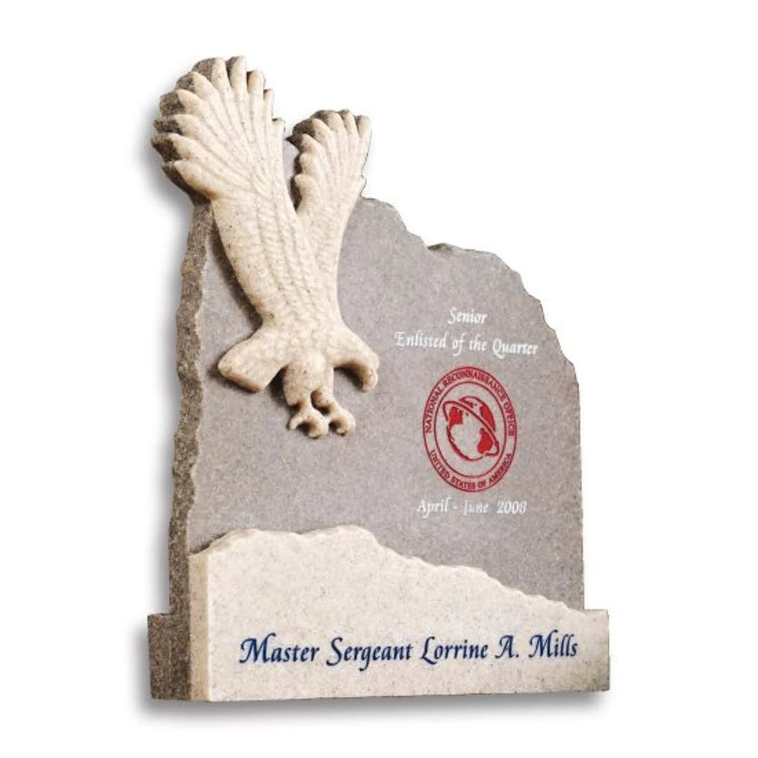 Soaring Eagle Award 1