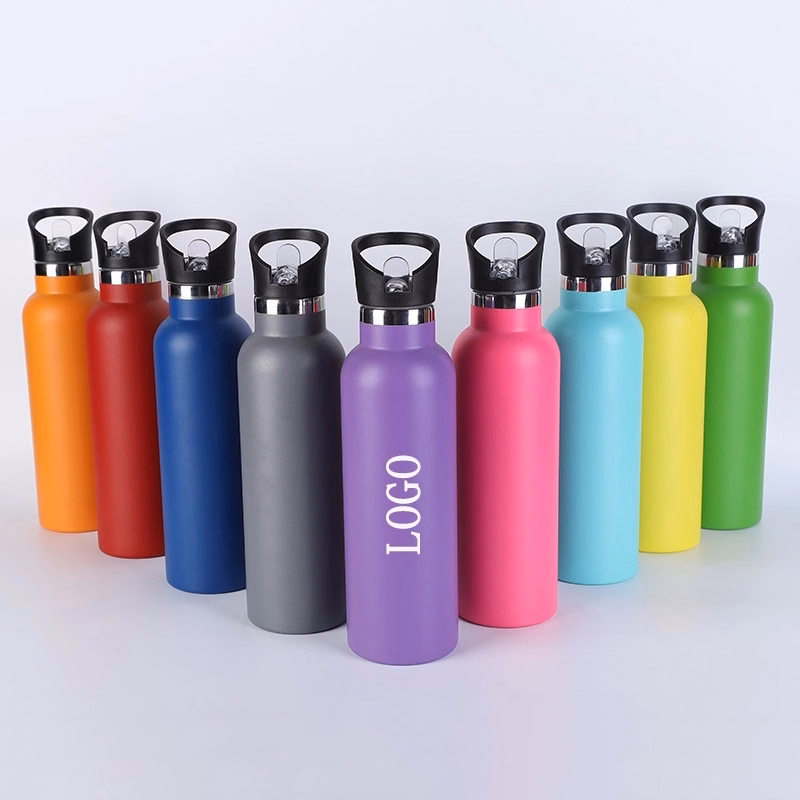 25 OZ Stainless Steel Water Bottle