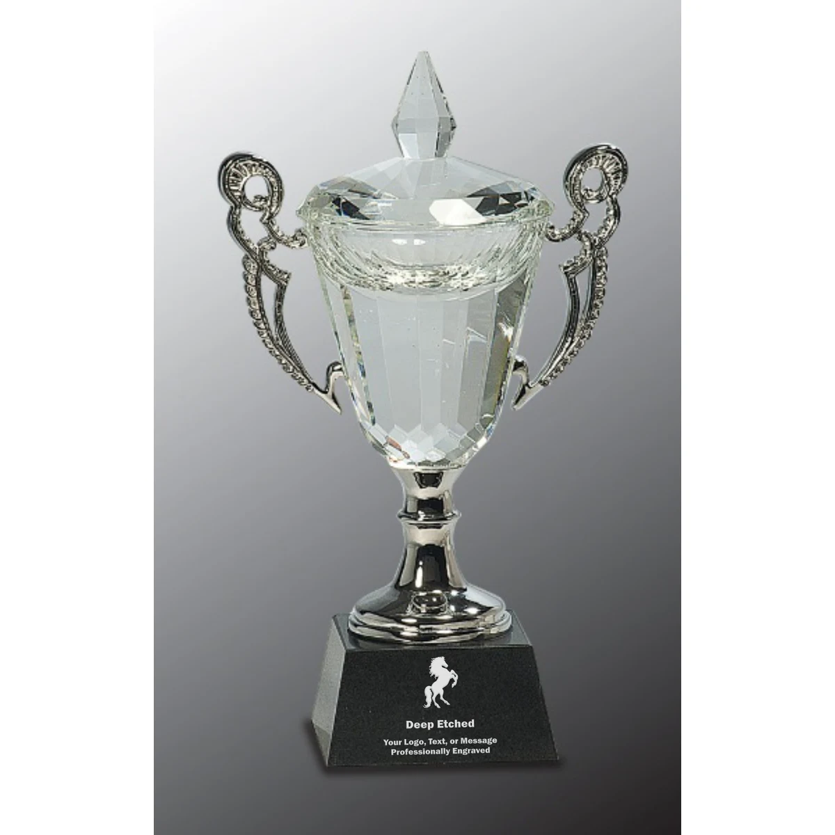 9 1/2" Crystal Cup with Silver Handles and Stem Crystal Award 1