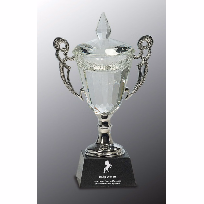 9 1/2" Crystal Cup with Silver Handles and Stem Crystal Award