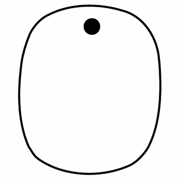 Oval 17 Key Tag - Spot Color