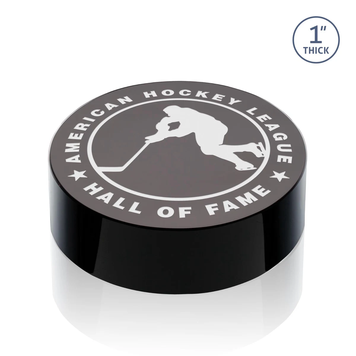 Hockey Puck Award 1