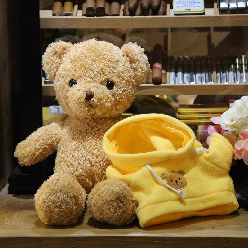 Teddy bear plush toy