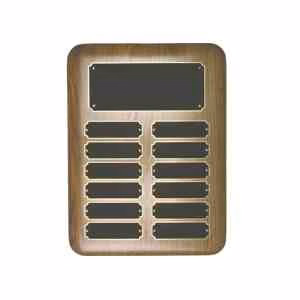 12 Plate Elliptical Walnut Perpetual Plaques