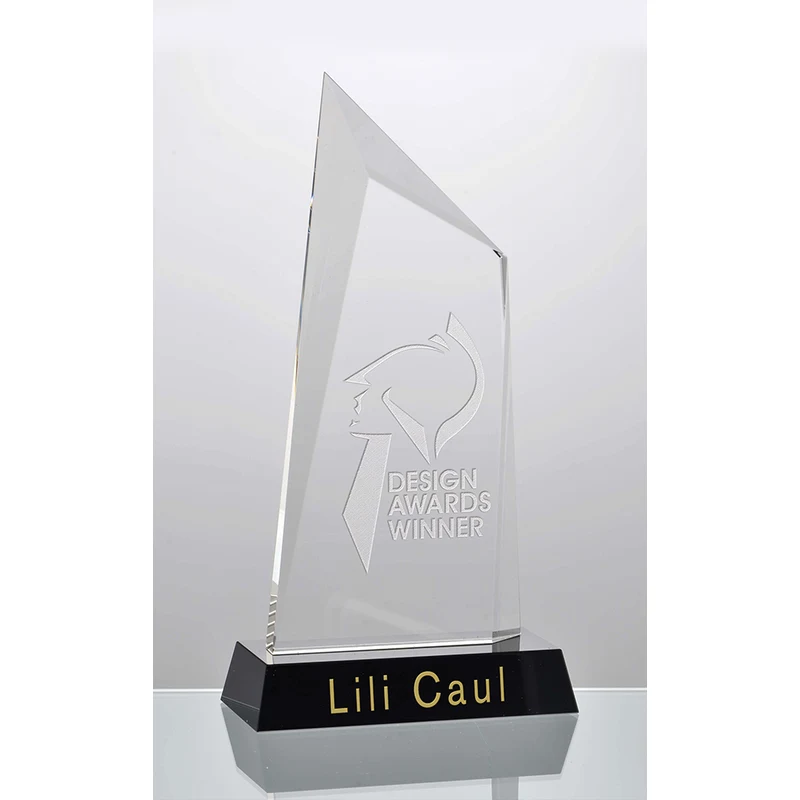 Crystal Summit Award 1