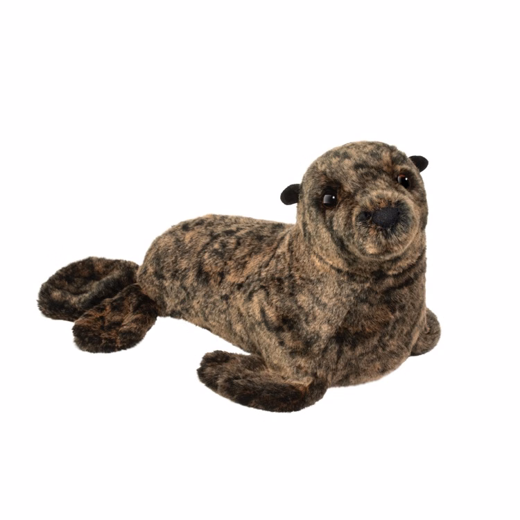 Buoy Sea Lion