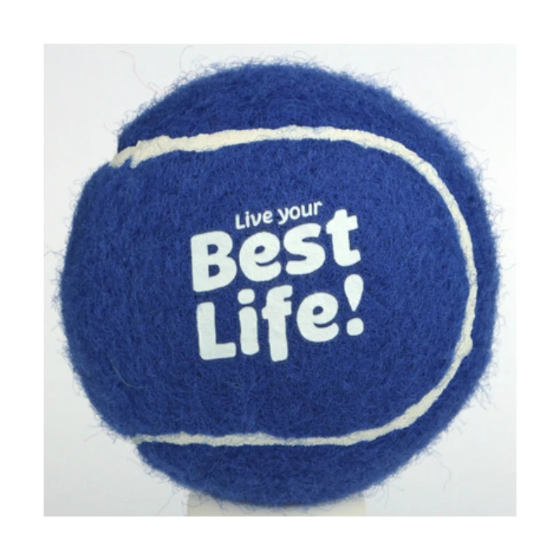 Pet Tennis Ball 1