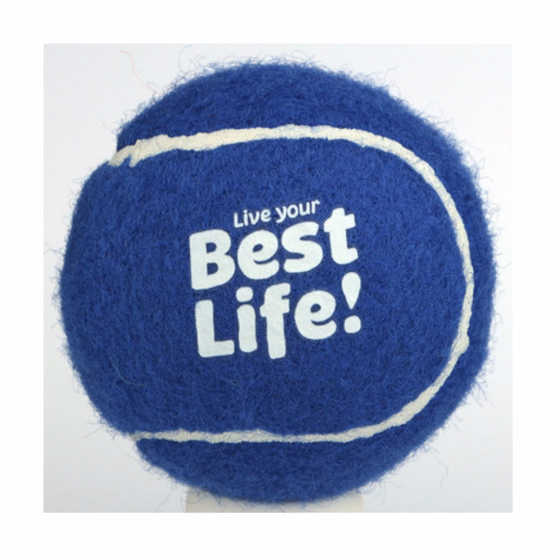 Pet Tennis Ball