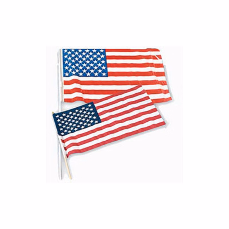 USA Flags - 8" x 12"
