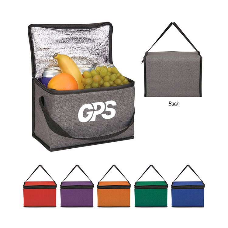 6 Can Cooler Bags with Carry Strap