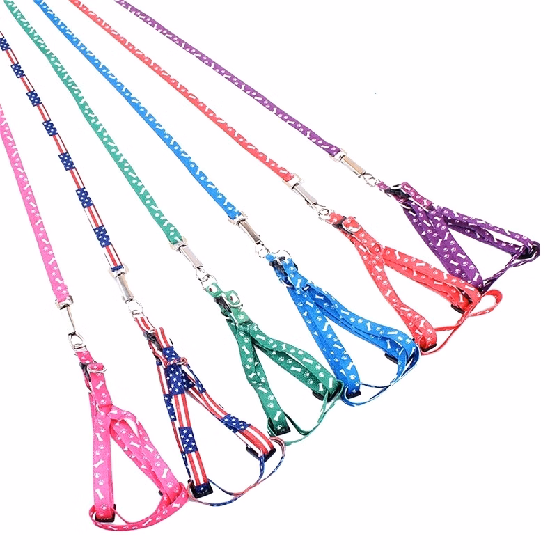 Small dog's leash