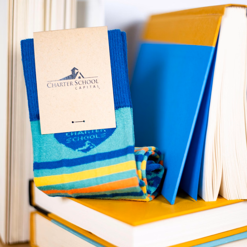 Standard Book Club Socks - Literary Footwear for Avid Readers - American Made