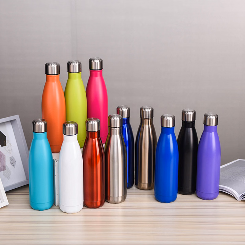 17 oz Double Wall Insulated Water Bottle