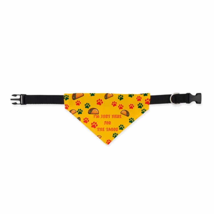 Small Slide-On Collar Pet Bandana