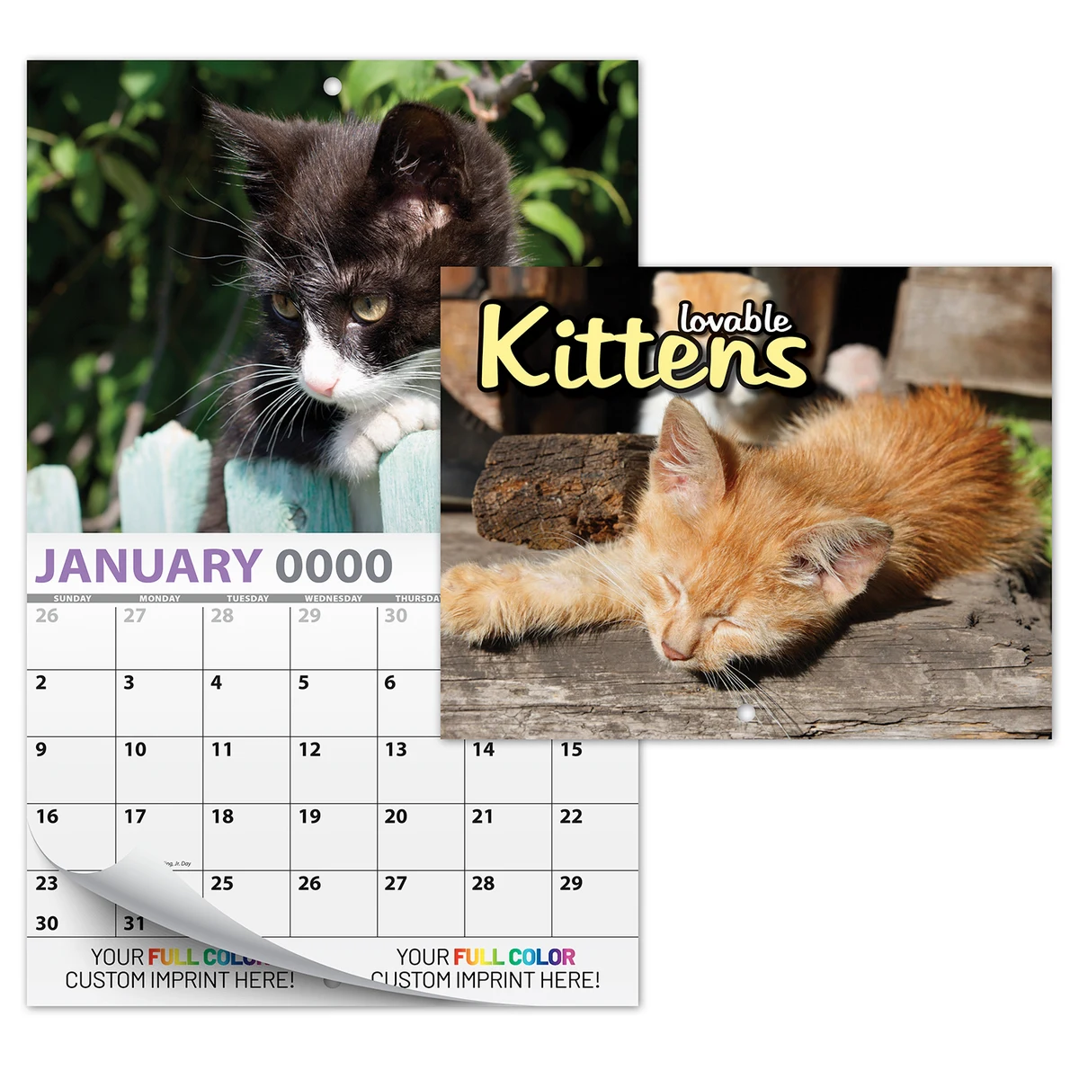 13 Month Custom Appointment Wall Calendar (High Gloss UV-Coated Cover)- KITTENS 1