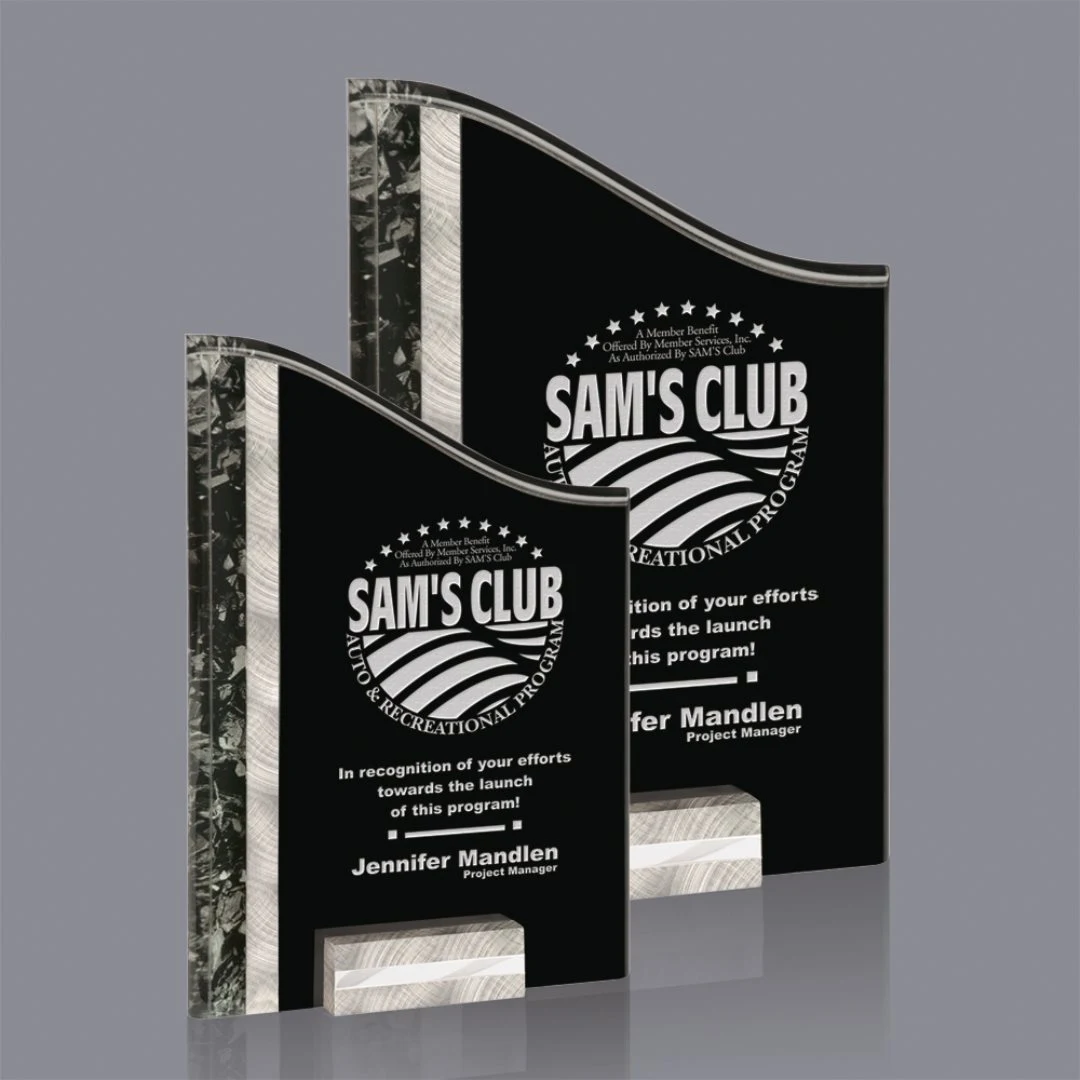 Ventura Award - Silver/Black 1