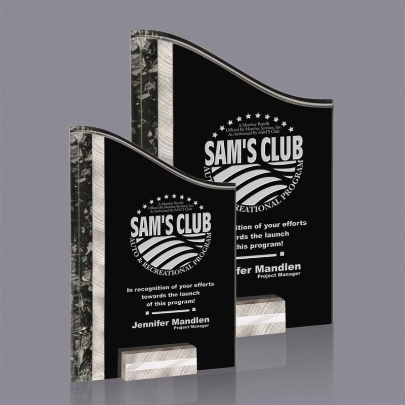 Ventura Award - Silver/Black