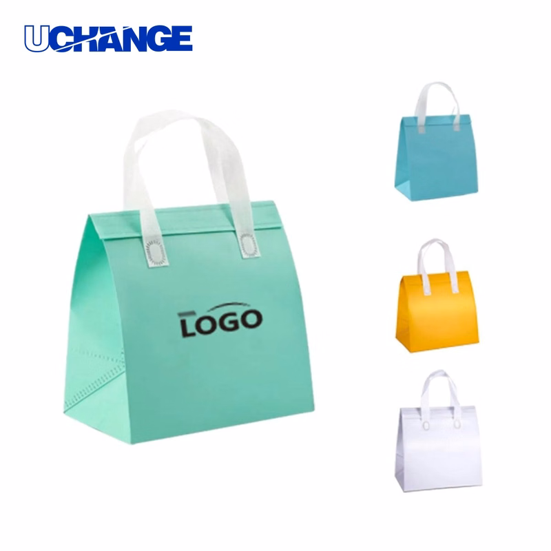 Foil-Lined Insulated Takeout Bag