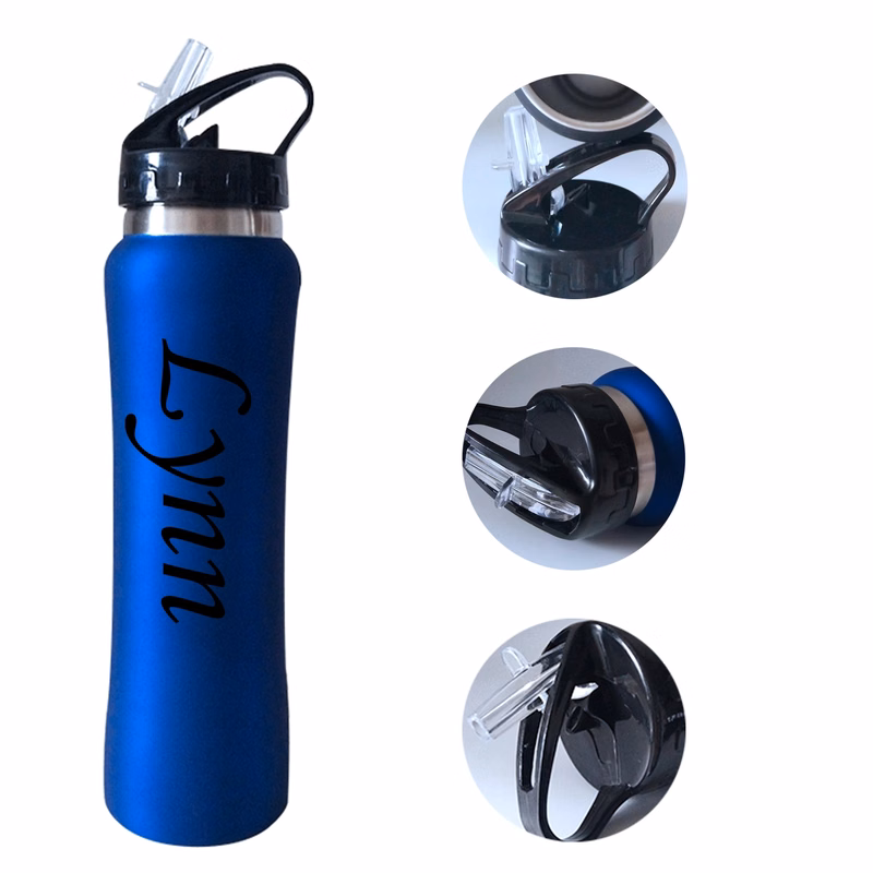 Stainless Steel Insulated Bottle w/ Straw