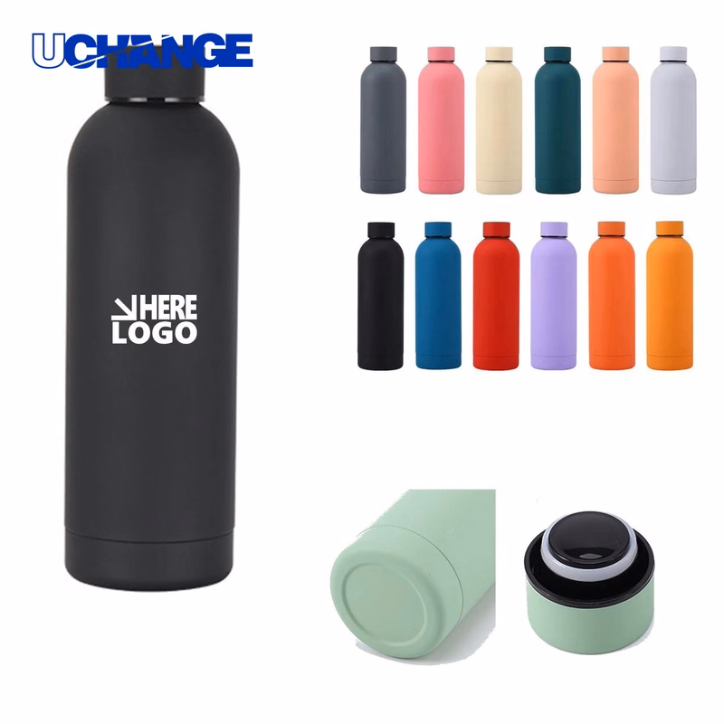 Stainless Steel Thermos Bottle Container (17oz)