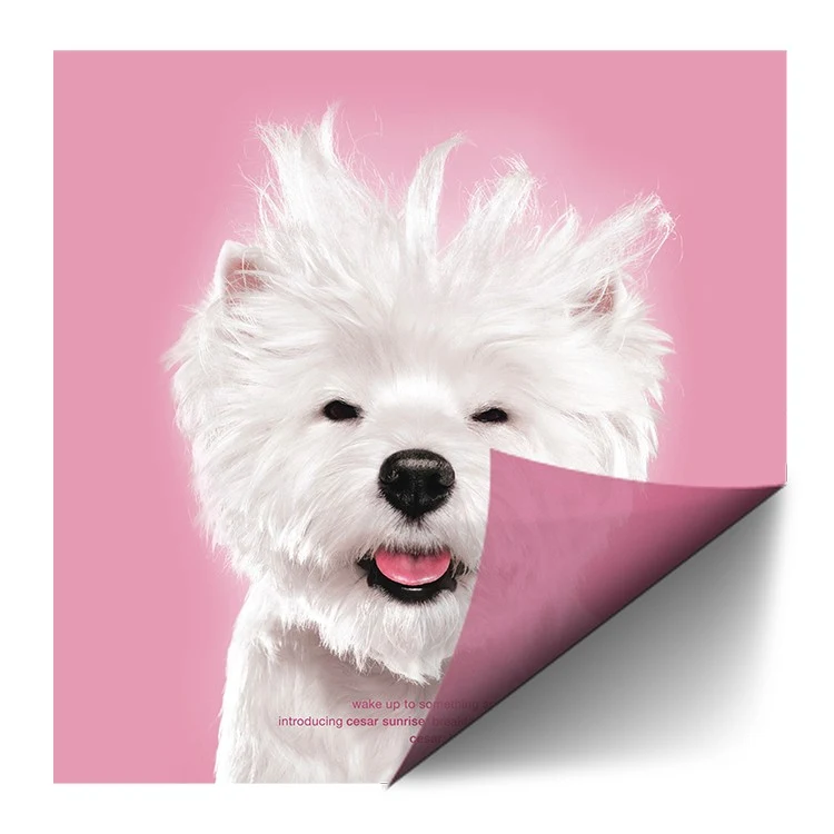 Window Cling - 72"W x 48"H Window Decals 1