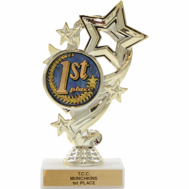 Activity Insert Star Trophy