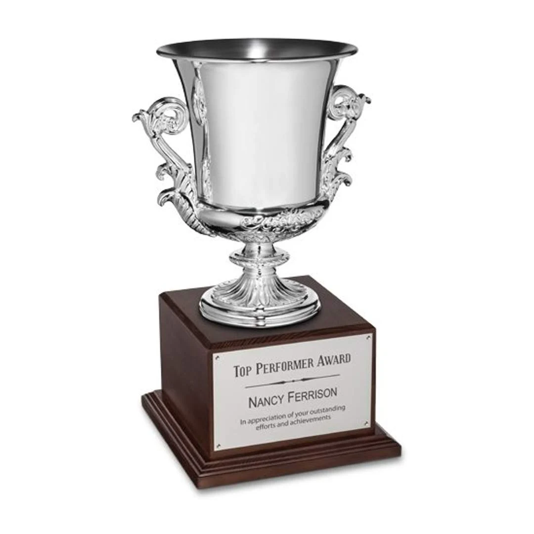 Award Cup - Silver 1