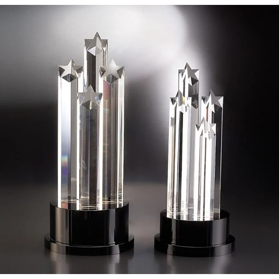 Contemporary Vistas Crystal Elevate Award 1