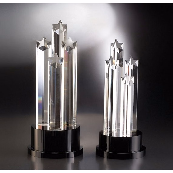 Contemporary Vistas Crystal Elevate Award