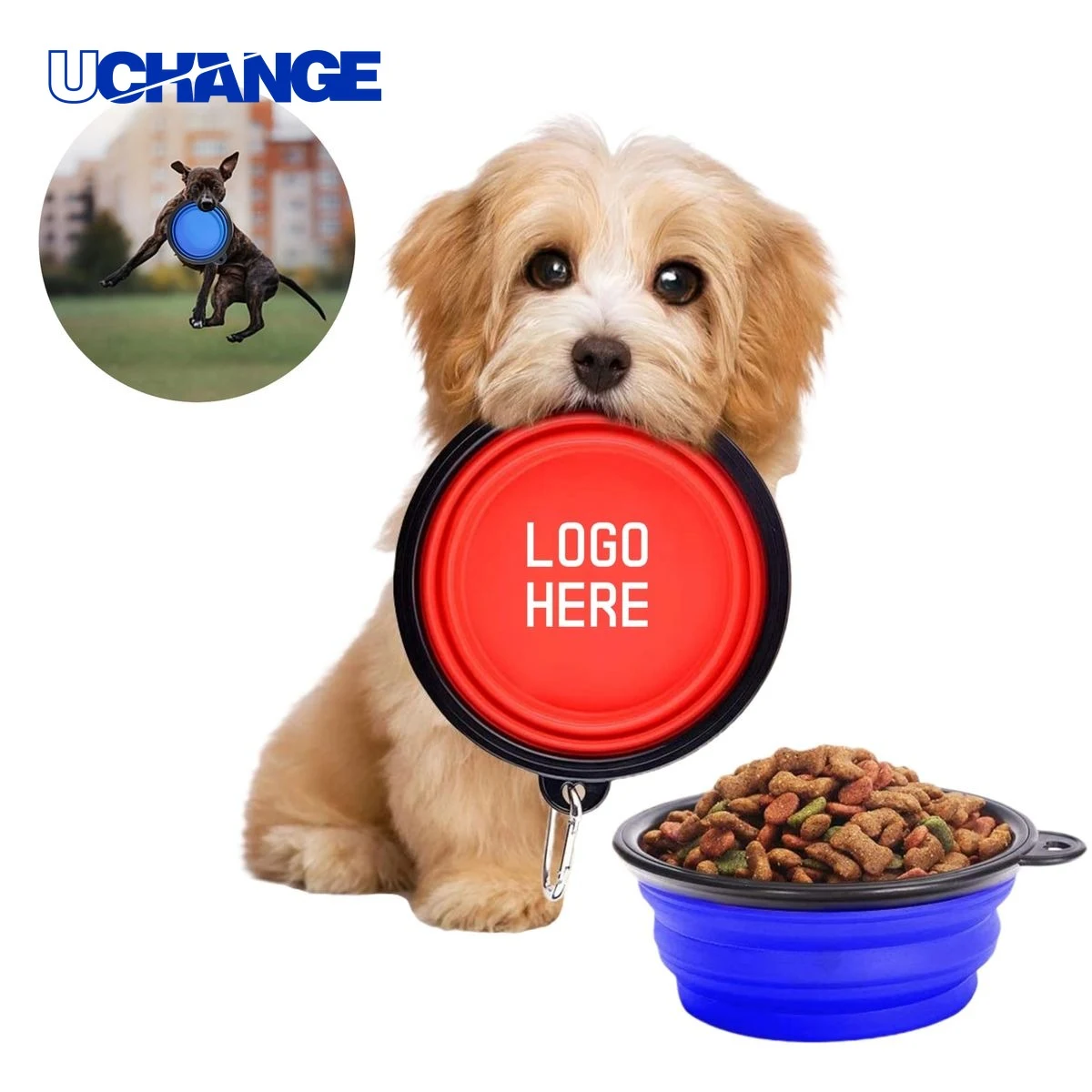 Multifunctional Collapsible Pet Bowl Dish for Travel 1